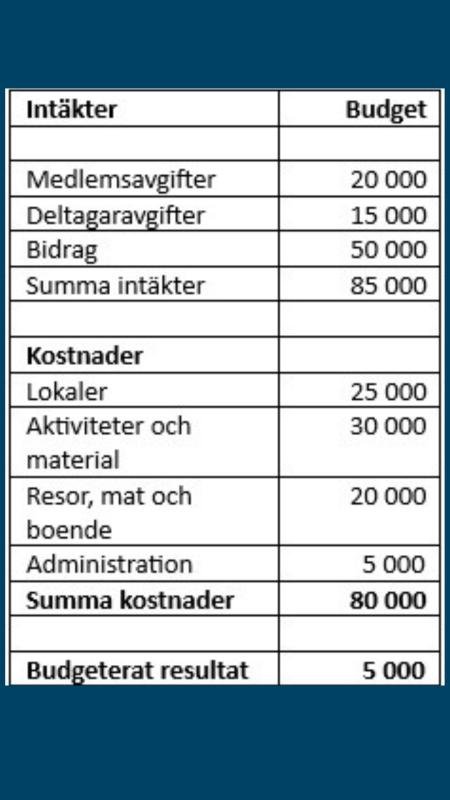 Exempel på hur en budget kan se ut