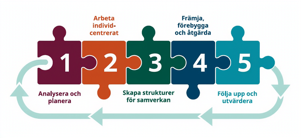 MUCF modell av komponenenter som främjar unga etablering i studier och arbete.