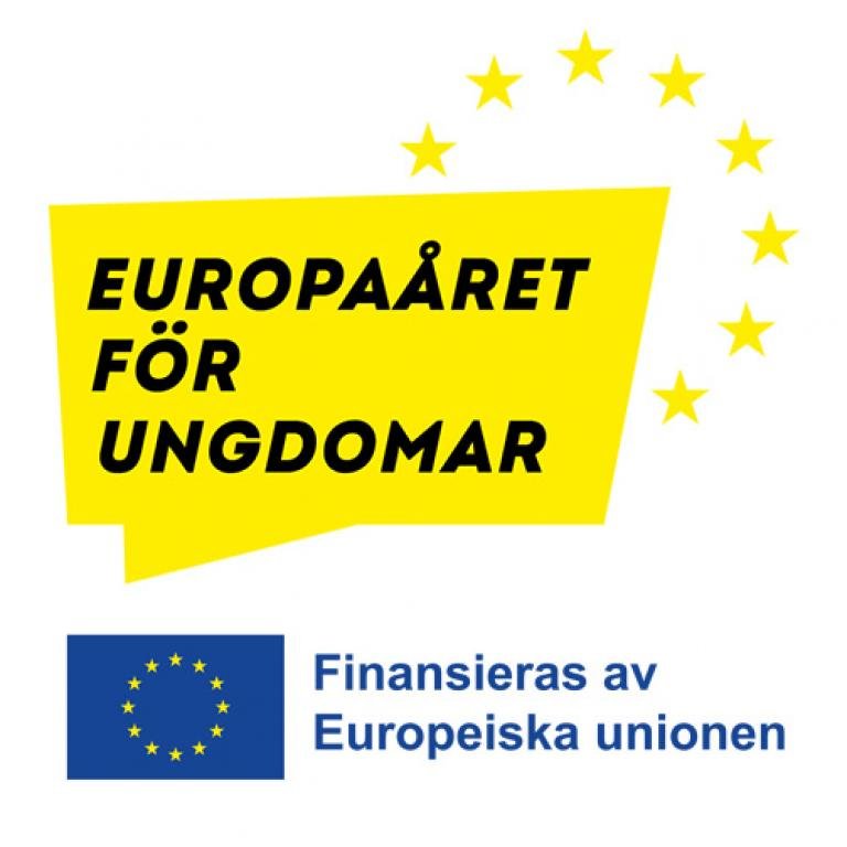 Europaåret för unga, Finansieras av Europeiska Unionen