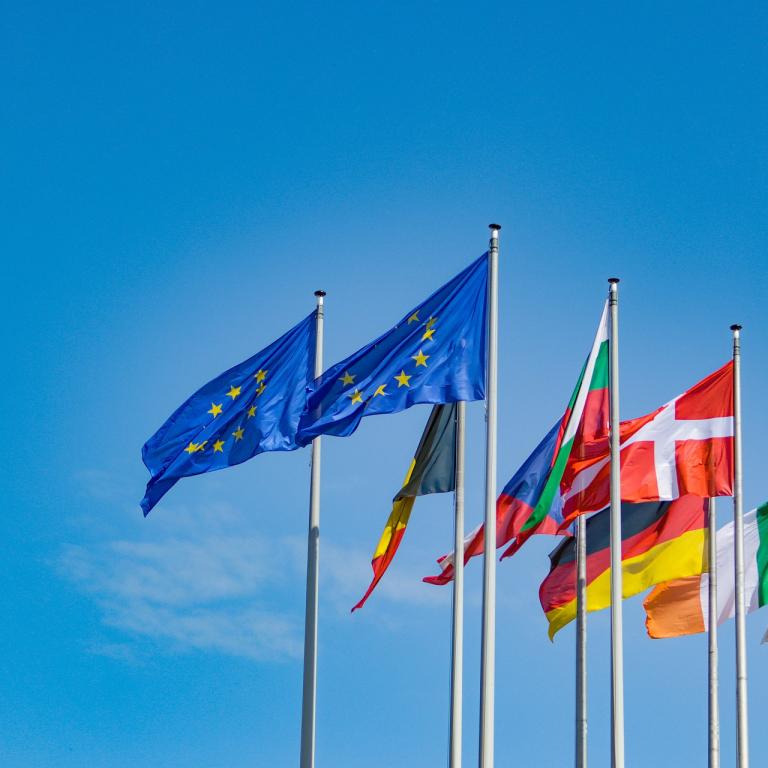 EU-flagga tillsammans med andra EU-medlemsländers flaggor